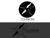 Projekt graficzny, nazwa firmy, tworzenie logo firm Logo firmy wykorzystującej drony - agynesai 