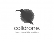 Projekt graficzny, nazwa firmy, tworzenie logo firm Logo firmy wykorzystującej drony - pablopyra
