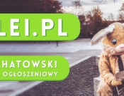 Projekt graficzny, nazwa firmy, tworzenie logo firm billboard reklamowy   alei.pl - bazi