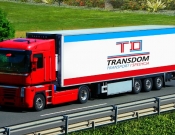 Projekt graficzny, nazwa firmy, tworzenie logo firm Logo- firma transportowa TRANSDOM - LakszmiStudio