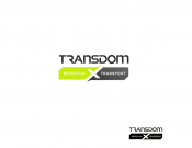 Projekt graficzny, nazwa firmy, tworzenie logo firm Logo- firma transportowa TRANSDOM - Magdalena_71