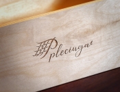 Projekt graficzny, nazwa firmy, tworzenie logo firm Pleciuga szuka swojego logo - Blanker