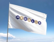 Projekt graficzny, nazwa firmy, tworzenie logo firm nowe logo dla spółki Medella - ManyWaysKr