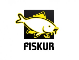 Projekt graficzny logo dla firmy online fiskur 