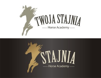 Projekt graficzny logo dla firmy online STAJNIA / STABLE