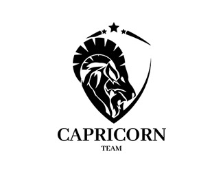 Projektowanie logo dla firmy, konkurs graficzny capricorn team