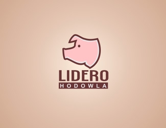 Projekt graficzny logo dla firmy online Lidero