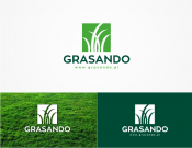 projektowanie logo oraz grafiki online Logo dla sklepu z nasionami trawy 
