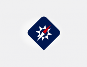 Projekt graficzny, nazwa firmy, tworzenie logo firm Logo dla agencji  ubezpieczeniowej - Bochu