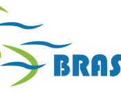 Projekt graficzny, nazwa firmy, tworzenie logo firm Odświeżenie loga firmy BRASNER  - holbertus11