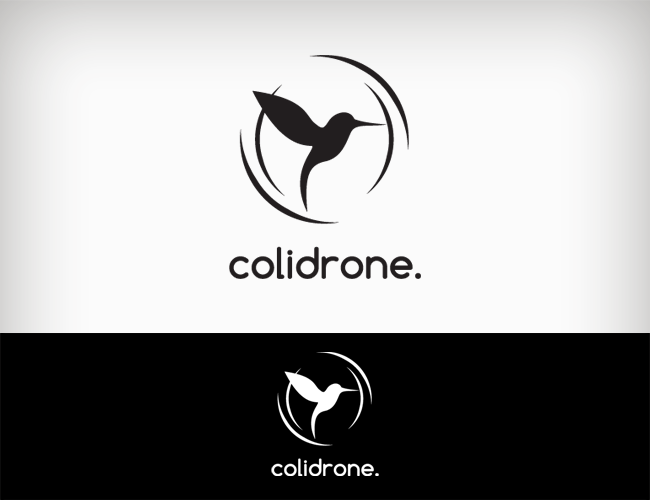 Projektowanie logo dla firm,  Logo firmy wykorzystującej drony, logo firm - colidrone.