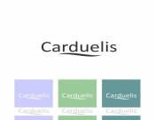Projekt graficzny, nazwa firmy, tworzenie logo firm Logo dla marki Carduelis - malarz