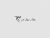 Projekt graficzny, nazwa firmy, tworzenie logo firm Logo dla marki Carduelis - malarz