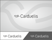 Projekt graficzny, nazwa firmy, tworzenie logo firm Logo dla marki Carduelis - pkstudio