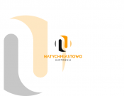 Projekt graficzny, nazwa firmy, tworzenie logo firm LOGO DLA SKLEPU INTERNETOWEGO - tyna