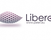Projekt graficzny, nazwa firmy, tworzenie logo firm Logo dla producenta pelletu - dldesign