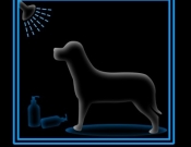 Projekt graficzny, nazwa firmy, tworzenie logo firm producent kosmetyków dla psów - aLF^^