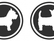 Projekt graficzny, nazwa firmy, tworzenie logo firm producent kosmetyków dla psów - dmnk