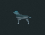 Projekt graficzny, nazwa firmy, tworzenie logo firm producent kosmetyków dla psów - valcan logo studio