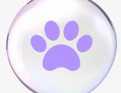 Projekt graficzny, nazwa firmy, tworzenie logo firm producent kosmetyków dla psów - reemarkablee
