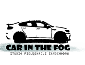 Projekt graficzny, nazwa firmy, tworzenie logo firm LOGO - CAR IN THE FOG - danielo