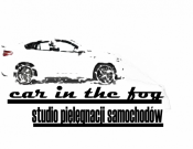 Projekt graficzny, nazwa firmy, tworzenie logo firm LOGO - CAR IN THE FOG - danielo