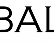 Projekt graficzny, nazwa firmy, tworzenie logo firm Nazwa firmy dla firmy handlowej. - Snowflake