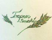 Projekt graficzny, nazwa firmy, tworzenie logo firm Logo dla sklepu TROPEM SMAKÓW  - Prawdomówny