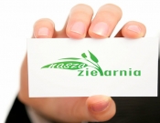 Projekt graficzny, nazwa firmy, tworzenie logo firm LOGO NASZA ZIELARNIA  - danny