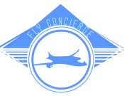 Projekt graficzny, nazwa firmy, tworzenie logo firm Logo dla firmy lotniczej - Synekto 