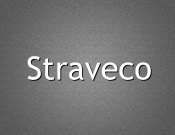 Projekt graficzny, nazwa firmy, tworzenie logo firm Nazwa dla sklepu internetowego - StraZak81