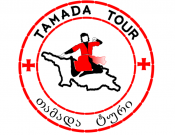 Projekt graficzny, nazwa firmy, tworzenie logo firm Logo dla gruzińskiego biura podróży - rado1988
