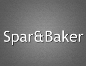 Projekt graficzny, nazwa firmy, tworzenie logo firm Nazwa dla firmy handlowej  - barrakuda