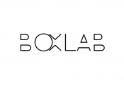 Projekt graficzny, nazwa firmy, tworzenie logo firm Logo dla firmy Boxlab  - awe0ewka