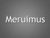 Projekt graficzny, nazwa firmy, tworzenie logo firm Nazwa sklepu int, nazwa własna marki - DominusVermis