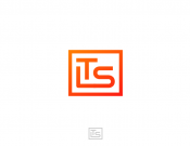 Projekt graficzny, nazwa firmy, tworzenie logo firm logo dla programu komputerowego - tyna