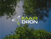 Projekt graficzny, nazwa firmy, tworzenie logo firm Logo dla firmy usługowej dronem - Ready