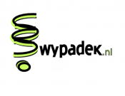 Projekt graficzny, nazwa firmy, tworzenie logo firm Logo dla firmy wypadek.nl - amator.9