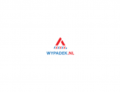 Projekt graficzny, nazwa firmy, tworzenie logo firm Logo dla firmy wypadek.nl - artoorcik