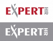 Projekt graficzny, nazwa firmy, tworzenie logo firm Logo dla firmy Expert HR  - mika