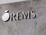 Projekt graficzny, nazwa firmy, tworzenie logo firm Logo dla firmy REMS - kamykkck