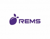 Projekt graficzny, nazwa firmy, tworzenie logo firm Logo dla firmy REMS - stone