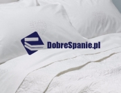 Projekt graficzny, nazwa firmy, tworzenie logo firm Logo dla sklepu DobreSpanie.pl - mika