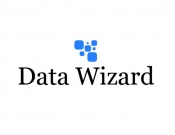 Projekt graficzny, nazwa firmy, tworzenie logo firm Data Wizards - AiMan