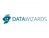 Projekt graficzny, nazwa firmy, tworzenie logo firm Data Wizards - diab