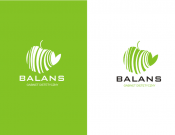 Projekt graficzny, nazwa firmy, tworzenie logo firm BALANS gabinet dietetyczny Logo - malarz