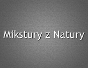 Projekt graficzny, nazwa firmy, tworzenie logo firm Nazwa dla zakładu garmażeryjnego  - StraZak81