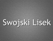 Projekt graficzny, nazwa firmy, tworzenie logo firm Nazwa dla zakładu garmażeryjnego  - MrStepniewski