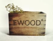 Projekt graficzny, nazwa firmy, tworzenie logo firm Logo dla nowego brandu  "eWood" - proLOG