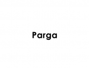 Projekt graficzny, nazwa firmy, tworzenie logo firm Nazwa dla portalu/biura projektowego - paryska93